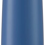 Contigo Autospout Straw Ashland Chill Vacuum-Insulated Stainless Steel Water Bottle, 20 oz., Monaco
